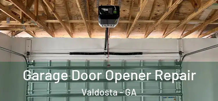  Garage Door Opener Repair Valdosta - GA